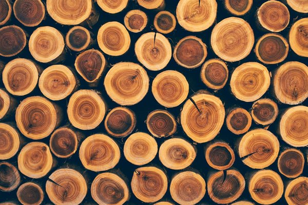 Quelles sont les meilleures pratiques pour la gestion des logs dans un système réseau ?